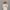 تیشرت باکسی طرح گوچی (GUCCI) – پنبه سوپر اعلاء (زنانه) - تصویر 7