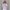 تیشرت باکسی طرح گوچی (GUCCI) – پنبه سوپر اعلاء (زنانه) - تصویر 6
