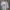 مانتو کادنزا طرح پاپیون و نگین‌دار (زنانه) - تصویر 7