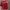 تیشرت کراپ فانتزی طرح گربه مینیمال (زنانه) - تصویر 7