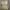 تیشرت دخترانه طرح ۴ گربه و نوشته (زنانه) - تصویر 7