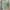 تیشرت کراپ مدل گل و کاکتوس مینیمال (زنانه) - تصویر 6