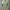 تیشرت کراپ پاندا (زنانه) - تصویر 6