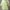 تیشرت کراپ فانتزی طرح گربه مینیمال (زنانه) - تصویر 3