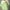 تیشرت کراپ مدل گل و کاکتوس مینیمال (زنانه) - تصویر 4