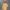 تیشرت لانگ دخترانه NYC (زنانه) - تصویر 4