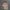 تیشرت باکسی طرح گوچی (GUCCI) – پنبه سوپر اعلاء (زنانه) - تصویر 3