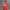 تیشرت باکسی طرح گوچی (GUCCI) – پنبه سوپر اعلاء (زنانه) - تصویر 5