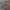 یشرت باکسی زنانه طرح Free (نخ پنبه درجه یک) (زنانه) - تصویر 8