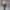 ست بامبر و شلوار اسپرت مدل نوار رنگی – پارچه طرح چروک (زنانه) - تصویر 5