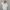 شومیز دخترانه گلدار مدل یقه چین‌دار (بدون دکمه و جلو گره‌ای) (زنانه) - تصویر 4