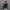 شومیز دخترانه گلدار مدل یقه چین‌دار (بدون دکمه و جلو گره‌ای) (زنانه) - تصویر 2