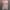 تیشرت دخترانه طرح یوگا و طبیعت (زنانه) - تصویر 7