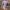 ست تاپ و شلوارک باشگاهی (زنانه) - تصویر 8