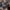 ست تاپ و شلوارک باشگاهی (زنانه) - تصویر 6