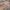 ست ۳ تکه کراپ تاپ و شلوارک ساتن تل‌دار(زنانه) - تصویر 3