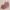 ست ۳ تکه کراپ تاپ و شلوارک ساتن تل‌دار(زنانه) - تصویر 5