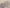 ست ۳ تکه کراپ تاپ و شلوارک ساتن تل‌دار(زنانه) - تصویر 4