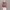 تیشرت اوورسایز طرح لوگو DIOR (زنانه) - تصویر 10