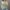 تیشرت کراپ طرح پاپیون (زنانه) - تصویر 2