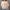 تیشرت کراپ طرح پاپیون (زنانه) - تصویر 6