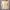 تیشرت کراپ فانتزی طرح دو گربه (زنانه) - تصویر 6