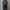 ست تیشرت و شلوار راحتی مدل D (زنانه) - تصویر 3
