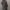 مانتو شانتون بلند پشت‌دکمه (زنانه) - تصویر 2