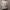 شومیز شش‌پیله آستین چین‌دار (زنانه) - تصویر 3