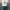 ست کراپ تیشرت و شلوارک دخترانه فانتزی(زنانه) - تصویر 4
