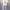 ست کراپ تیشرت و شلوارک دخترانه فانتزی(زنانه) - تصویر 6