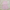ست ۳ تکه تاپ، شلوارک و کش‌مو(زنانه) - تصویر 3