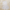 ست ۳ تکه تاپ، شلوارک و کش‌مو(زنانه) - تصویر 7