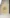 کراپ تاپ سامر (زنانه) - تصویر 5
