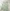 کراپ تاپ LIFE اسپرت (زنانه) - تصویر 3