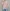 تیشرت باکسی DECIKA(زنانه) - تصویر 4