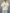 کاپشن وارداتی 6061 (زنانه) - تصویر 2