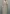 مانتو کفتان پلنگی(زنانه) - تصویر 4